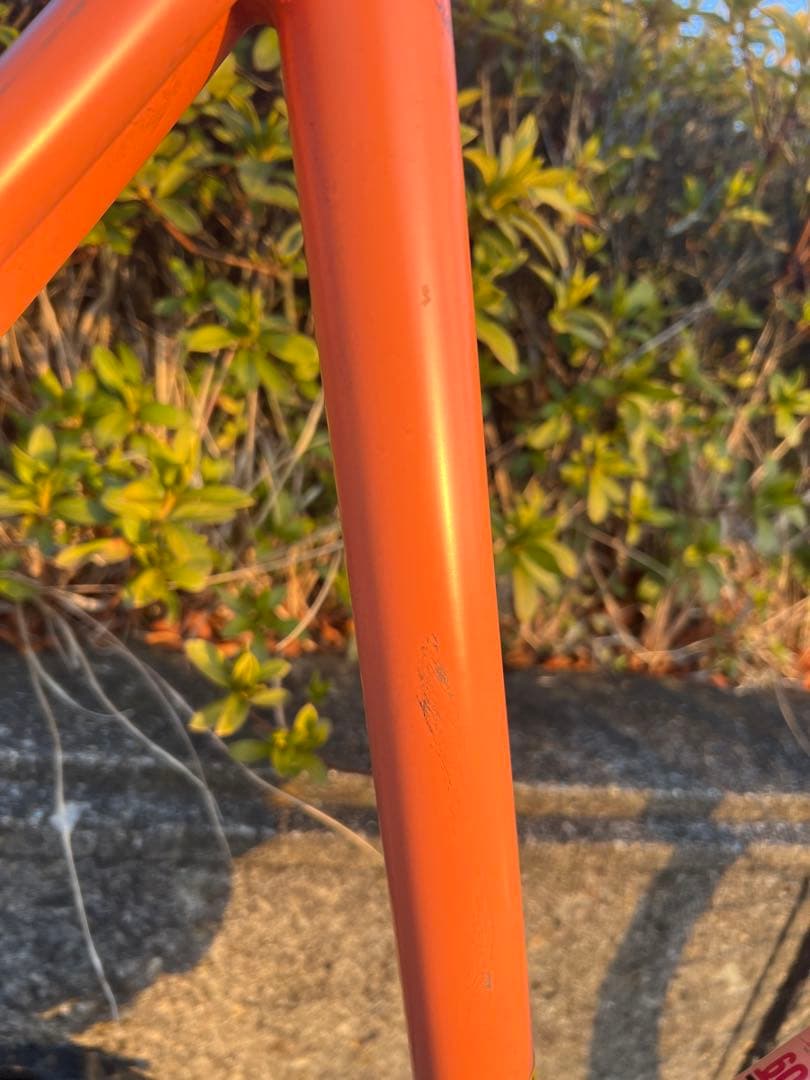 【長野県での直接お渡し限定】LOUIS GARNEAU シングルギア