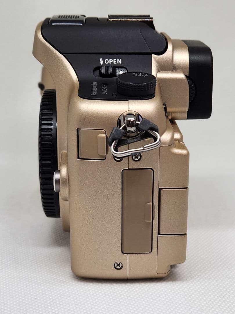 bassyLUMIX GH1 ゴールド AVCHD ミラーレスカメラ 美品