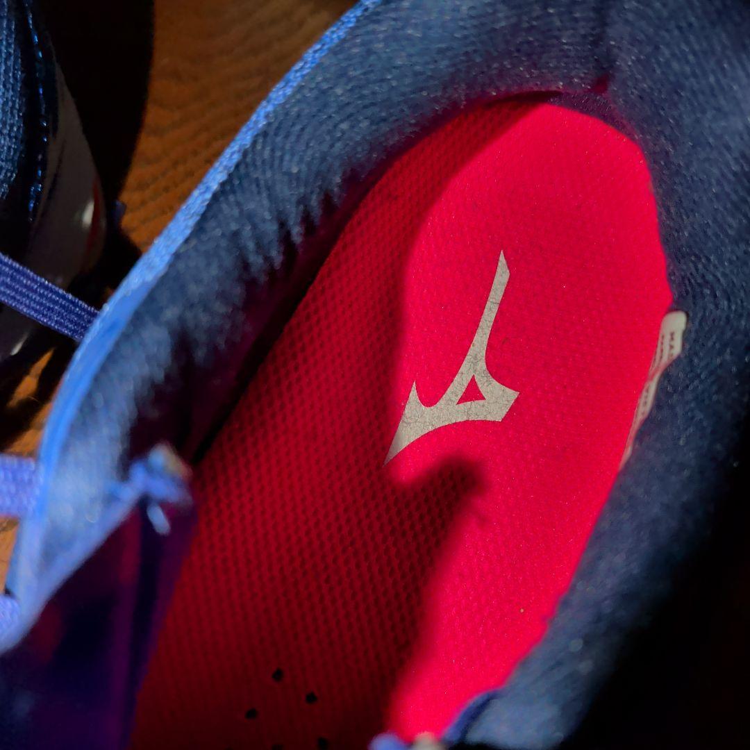 ウェーブライトニング Z6 バレーボールシューズ　24cm