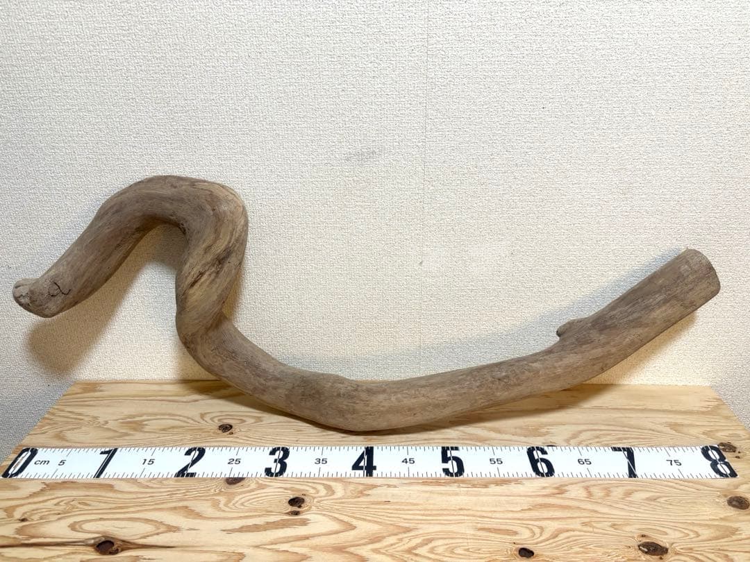 Ｇ79 灰汁抜き処理済　流木　爬虫類　両生類シェルター　観葉植物　インテリア