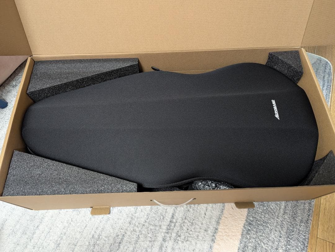 【新品未使用】エアロバンドギター AeroBand専用ケース＋マイク＋アクセサリ