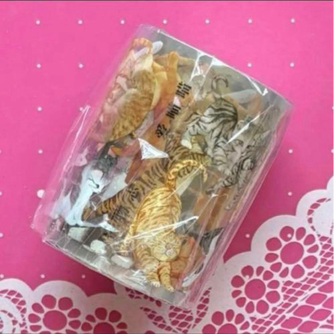 PET 5cm×5m 可爱喵喵 海外マスキングテープ　海外マステ　猫　ネコ