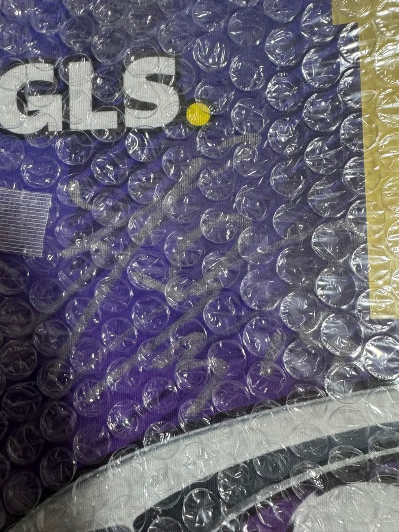 ペルージャ 石川祐希 ホーム ユニフォーム 直筆サイン 抽選販売当選品 額縁付