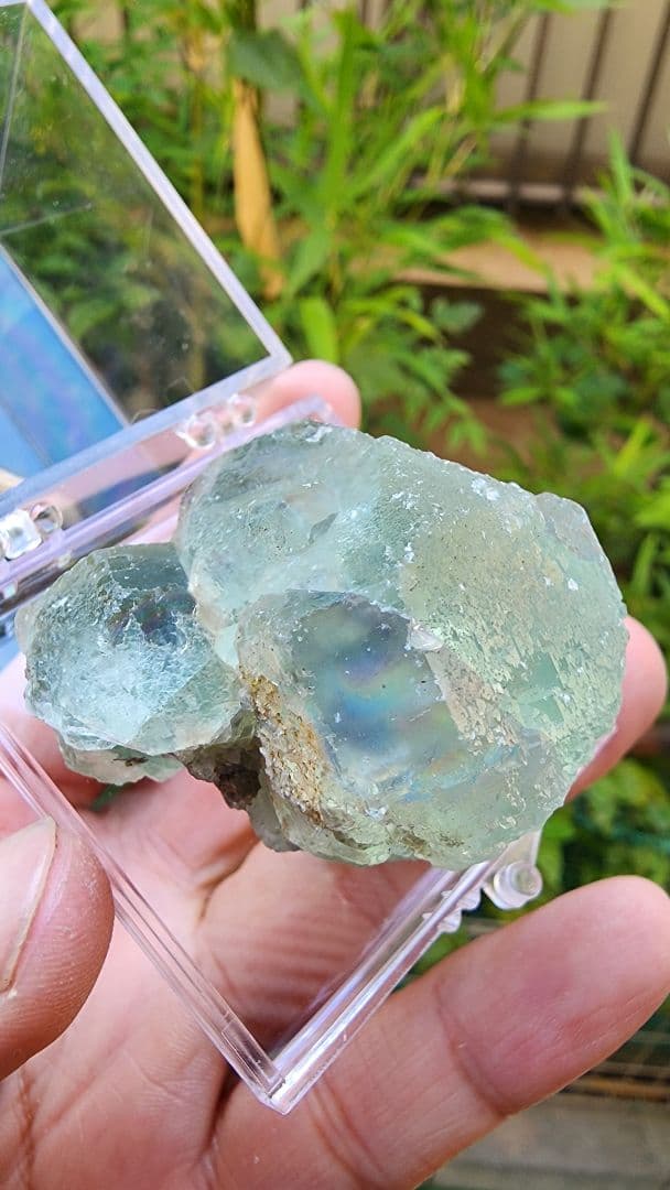 ボトリオイドグレーンフローライト (shangbao)