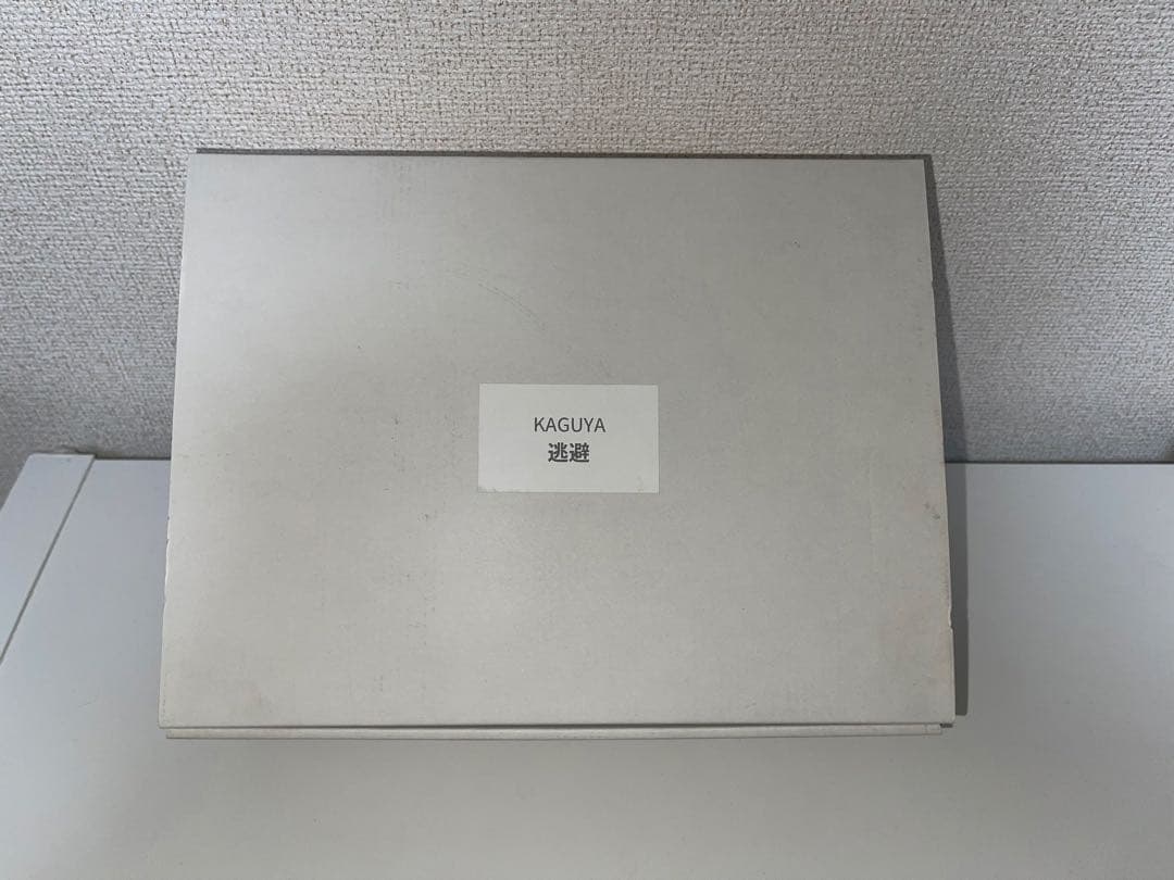 産婦人科M フィギュア ガレージキット 正規品 KAGUYA 逃避 希少