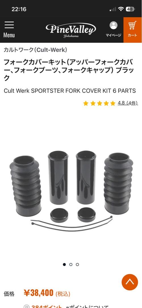 ハーレーダビットソン フォーティーエイト用カルトワークフォークブーツカバー