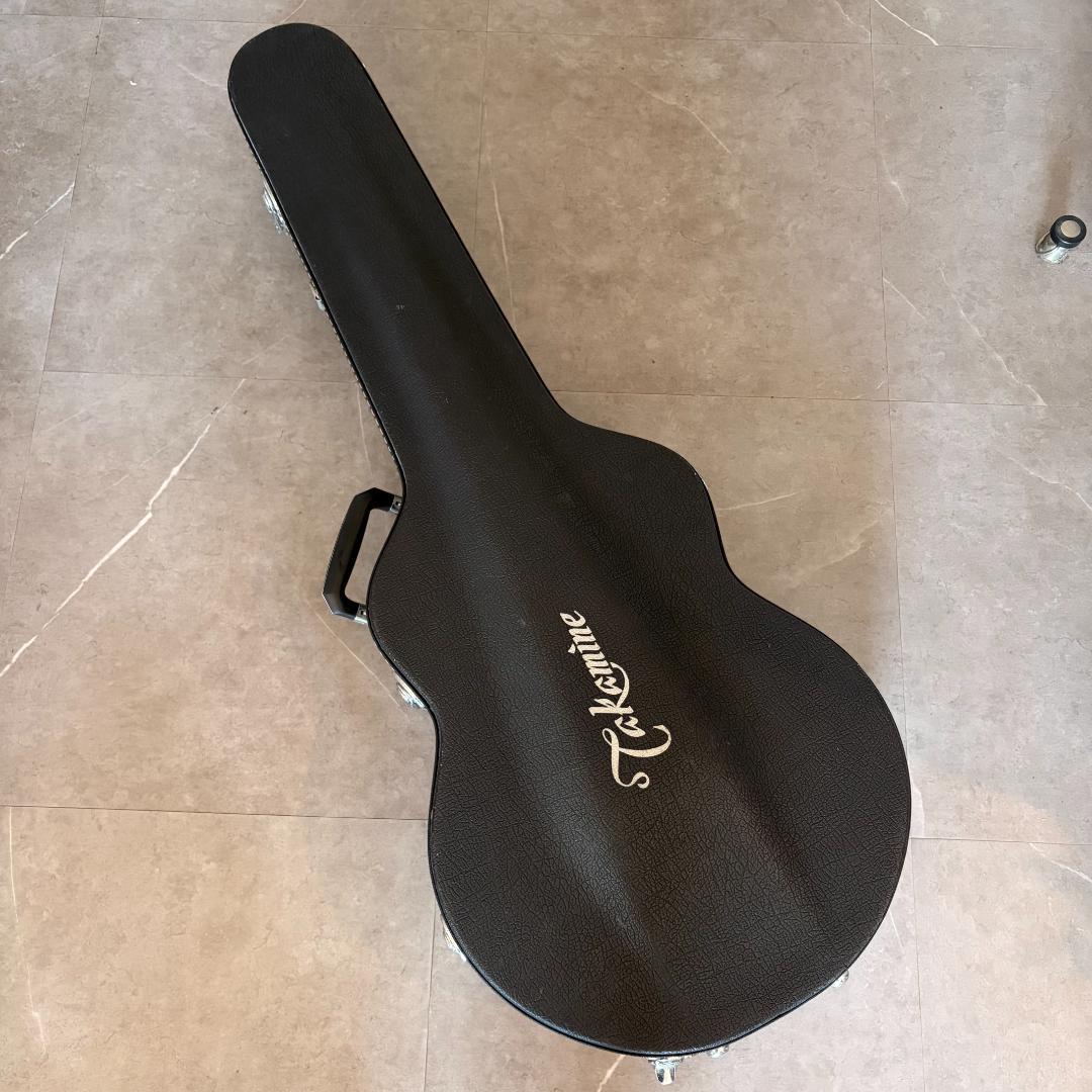 タカミネ　ガッドエレアコギター　PT-115N ST