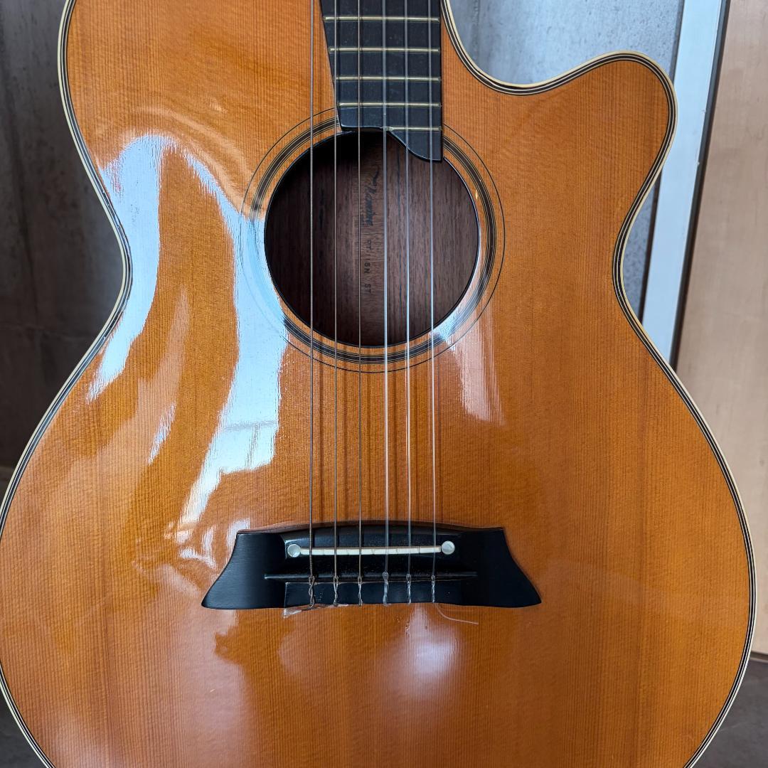 タカミネ　ガッドエレアコギター　PT-115N ST