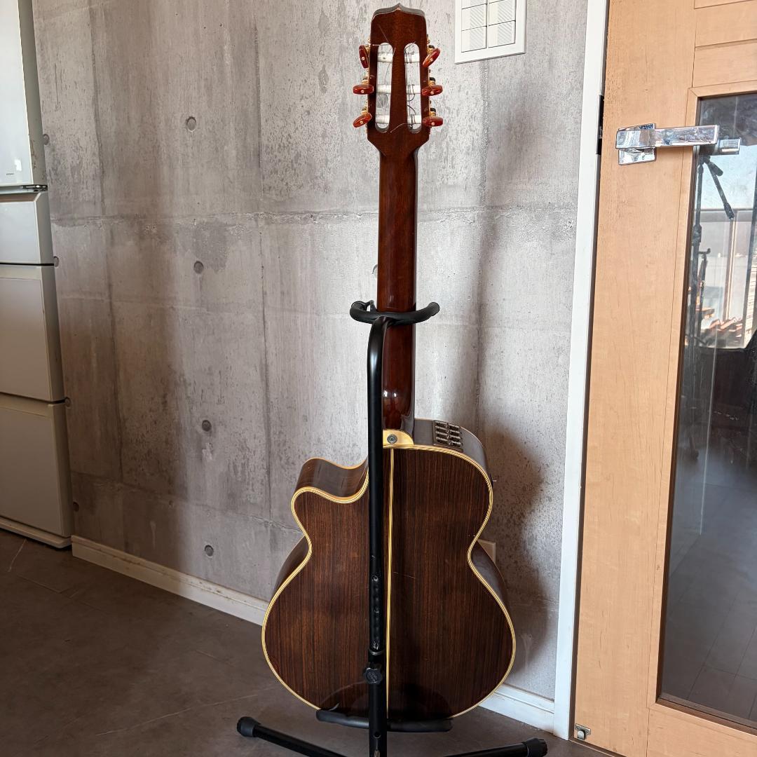 タカミネ　ガッドエレアコギター　PT-115N ST