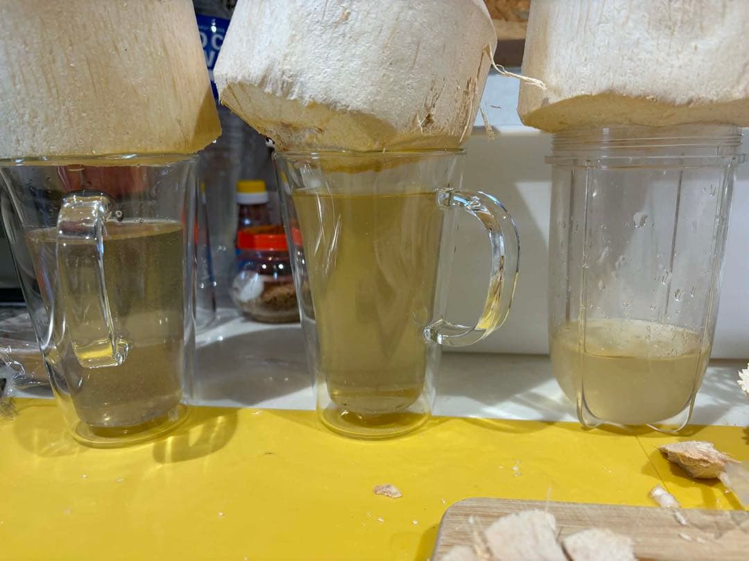 【ご確認用】ココナッツの不具合（変色・濁り）について