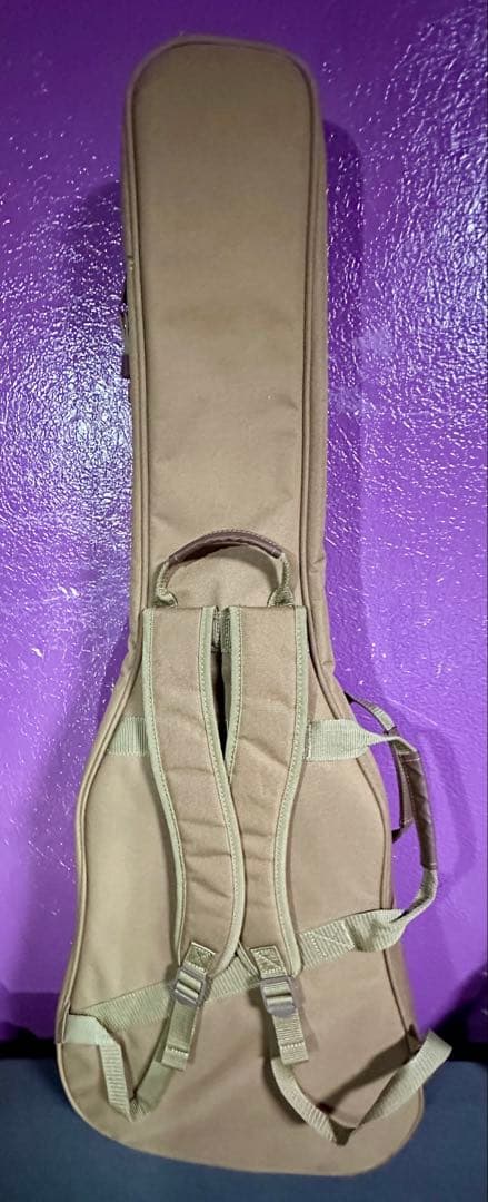 Taylor Academy 10e エレアコ アコースティック