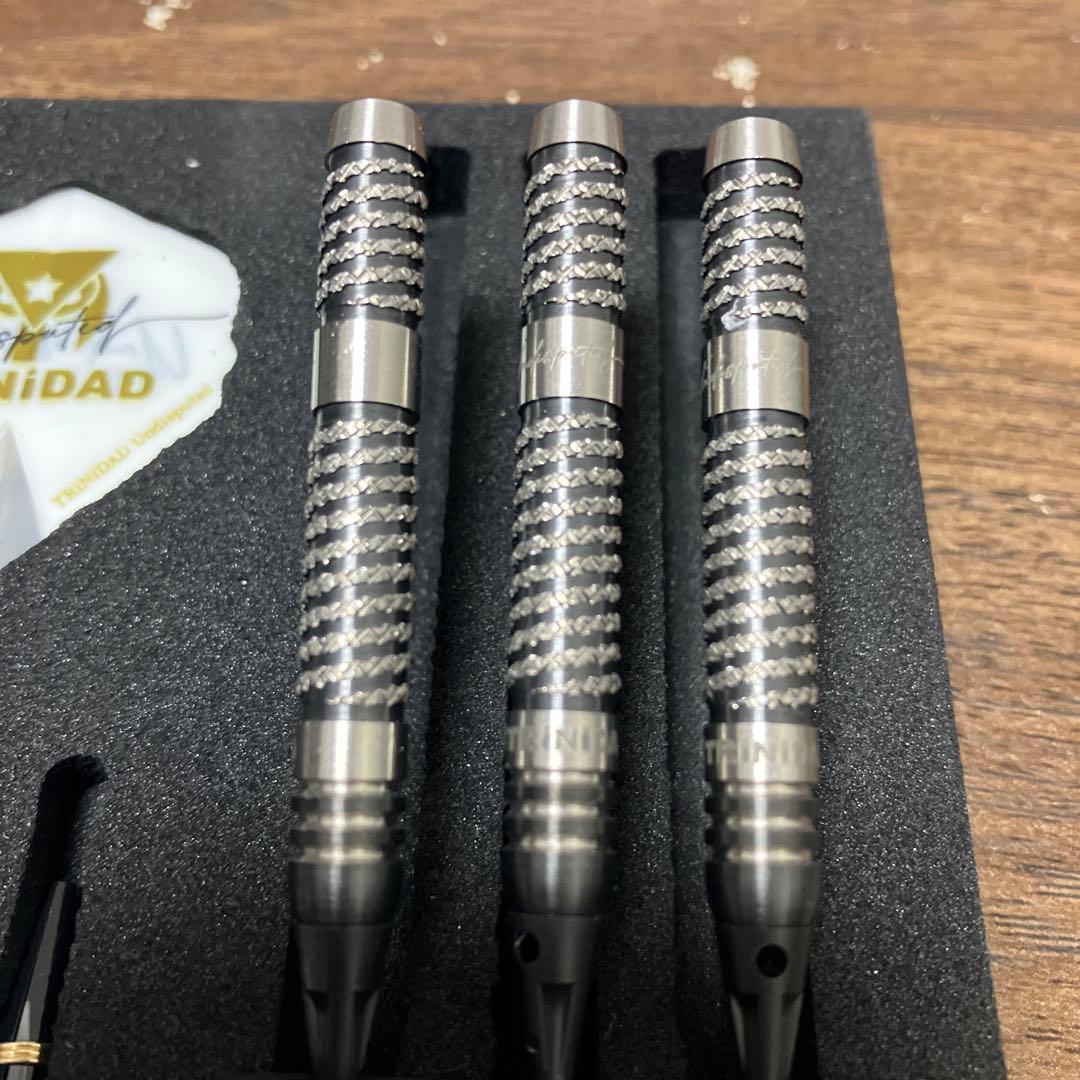 トリニダード リカルド タイプ2 浅田斉吾モデル エスダーツ限定モデル 2BA