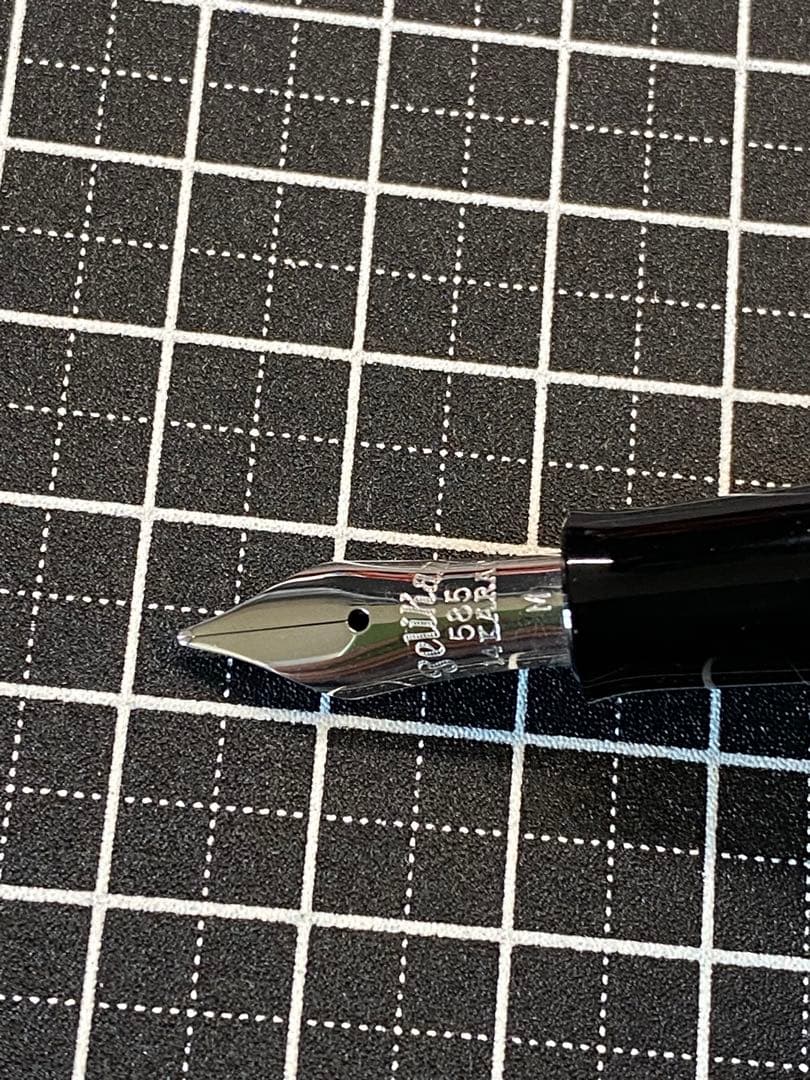 Pelikan M101N Lizard 万年筆　字幅M
