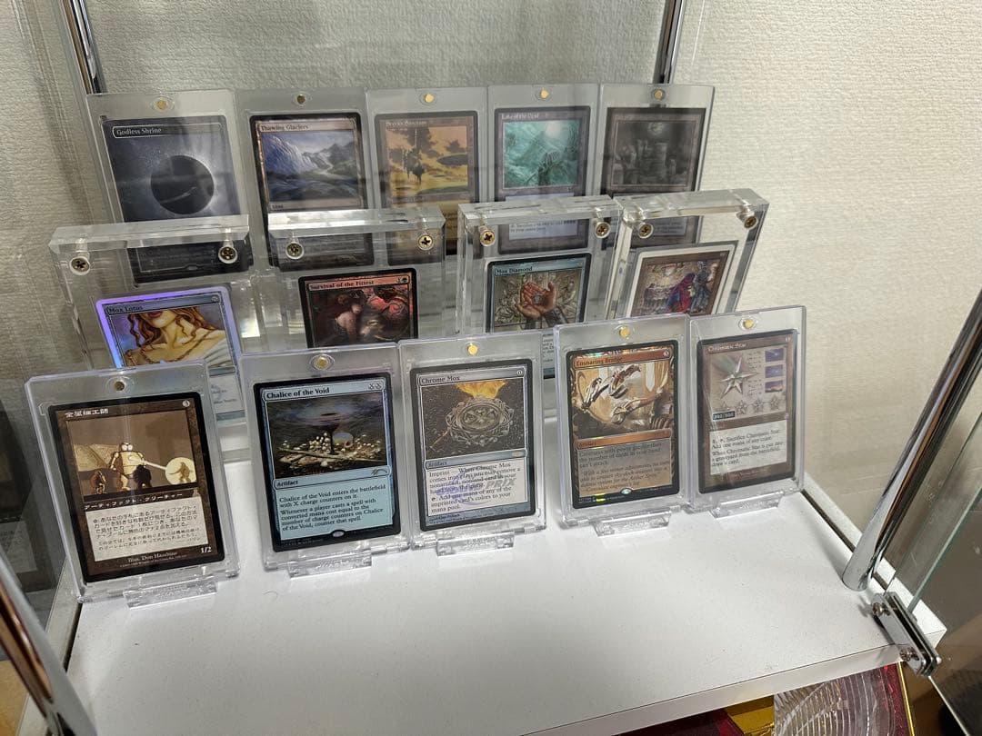 MTG Shadowborn Apostle/影生まれの使徒【No.685】