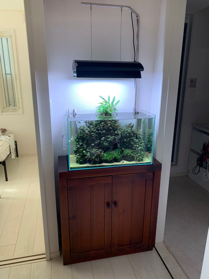 ADA ソーラーRGB リミテッドエディションブラック(ワイヤー切断、箱無し)