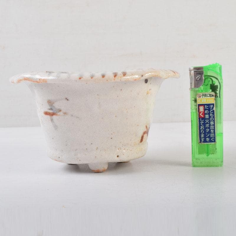 和食器　茶懐石　志野焼　加藤十右衛門　向付　五客　共箱　C　9015