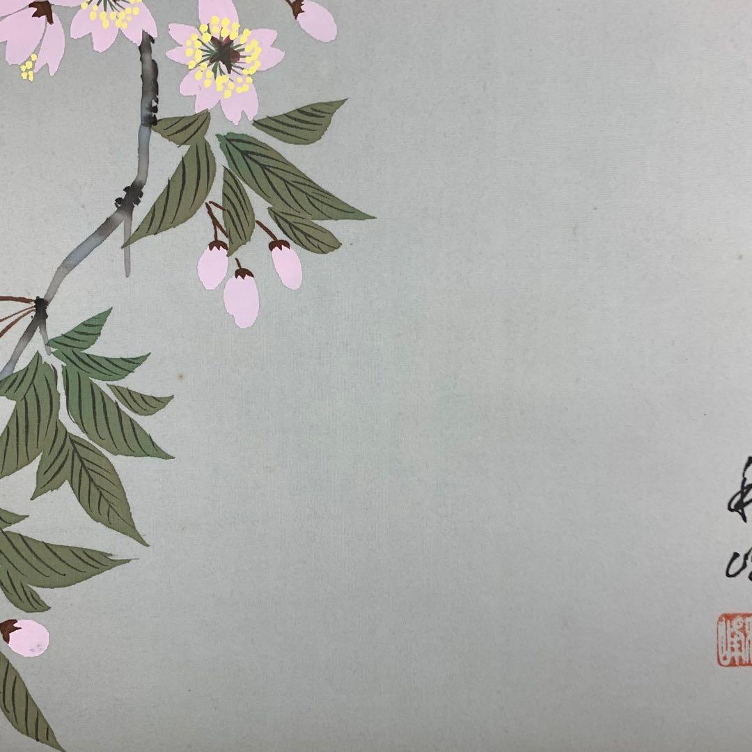 掛軸 秋峰 夜桜 共箱 春 月 満月 花 桜 5-14