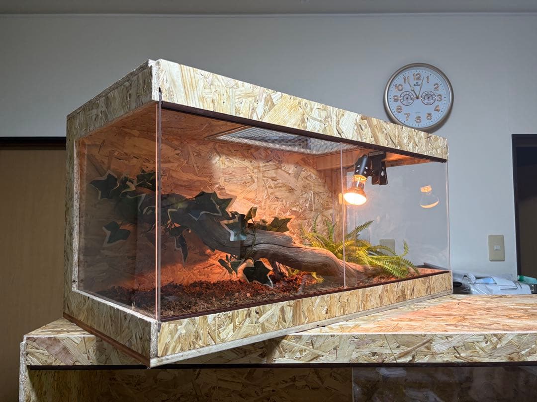 爬虫類ケージ 90×45×45 サイドアクリル仕様　ケージ 爬虫類　ペット