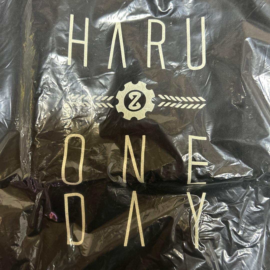 super junior ドンへ　HARU&ONE DAY バッグ 未開封