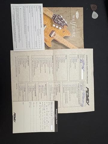 Peavey USA Wolfgang 金ロゴ 初期物 97年製