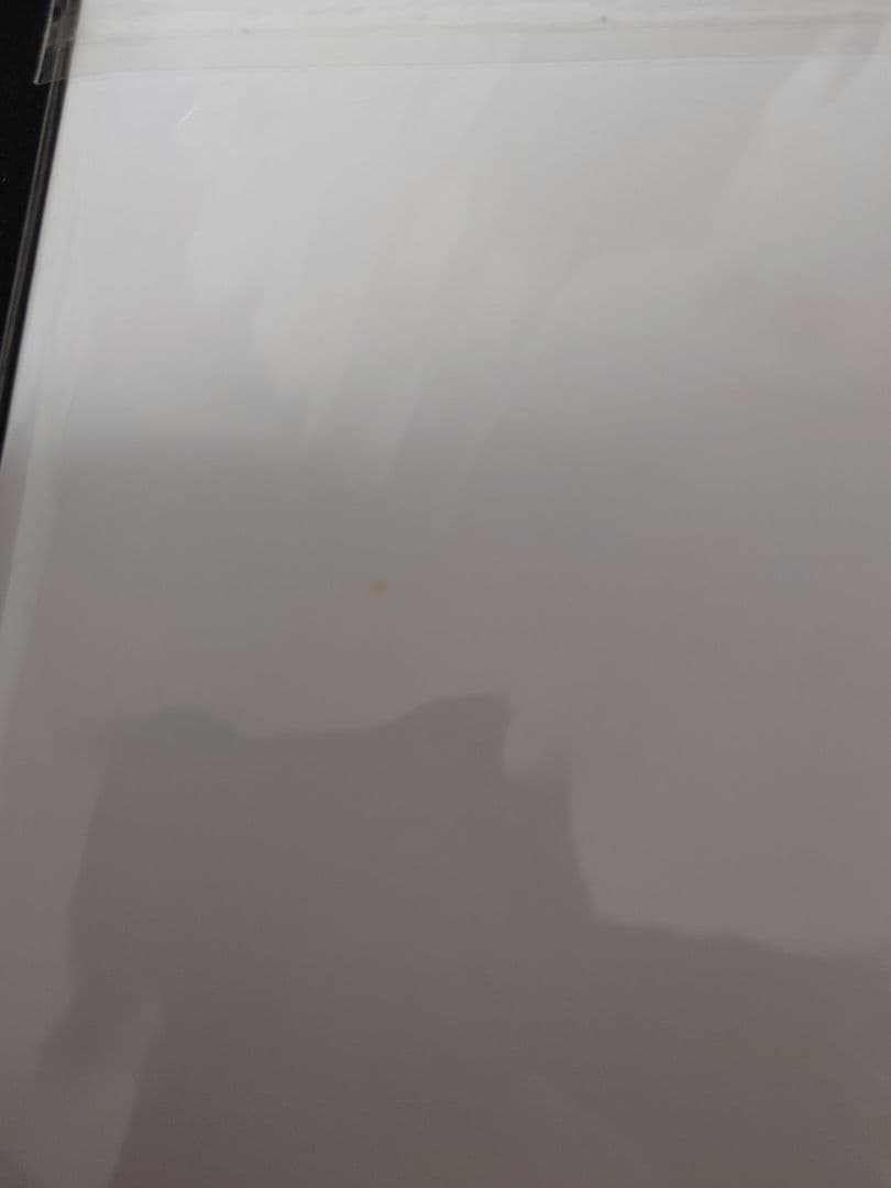 【超レア】Steins;Gate 第1話 声優直筆サイン台本（全キャスト）