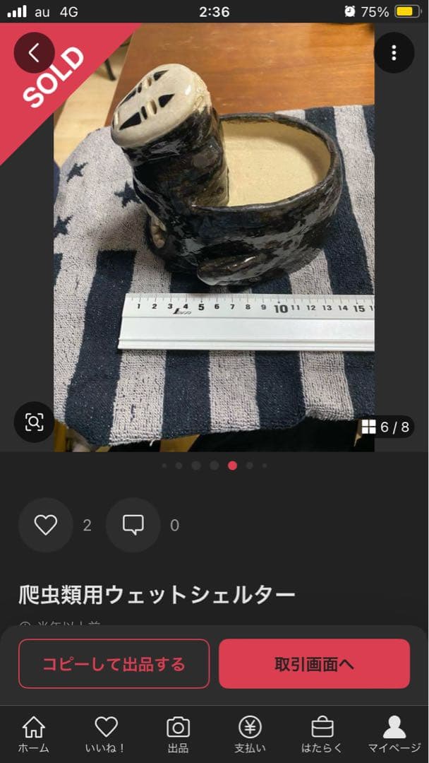 爬虫類用ウェットシェルター