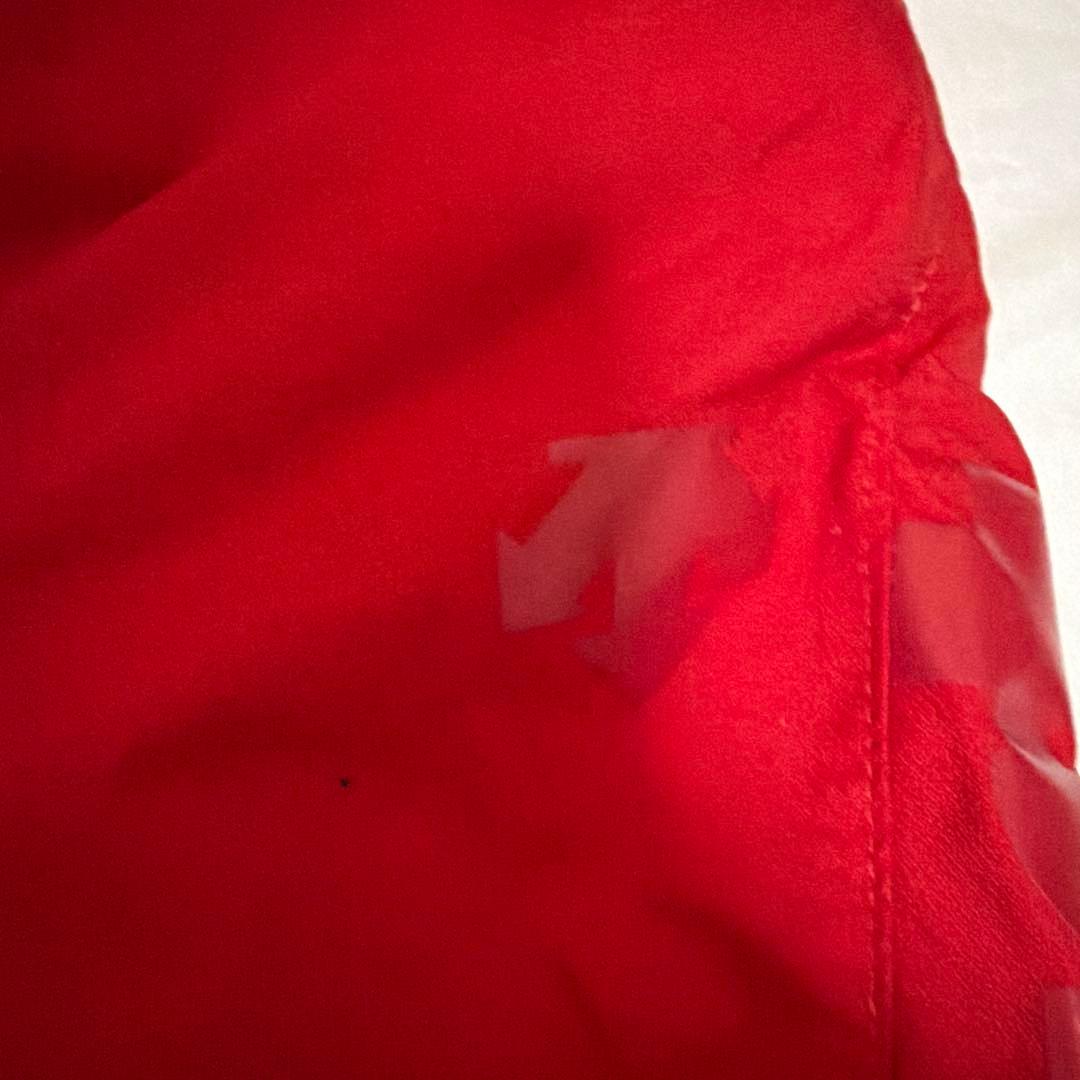 スキーウェア デサント　move sports フード付き