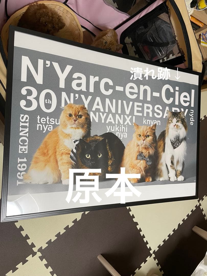 にゃるくあんしえる ポスター 一部 潰れ跡あり 未使用 ラルク L'Arc