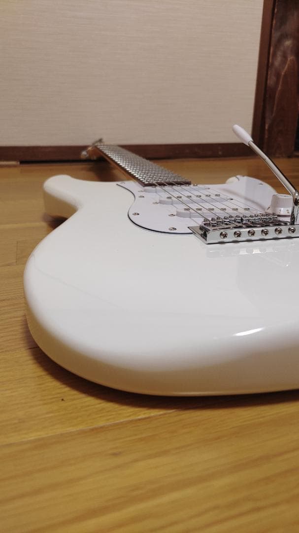 Selder エレキギター (10点セット)