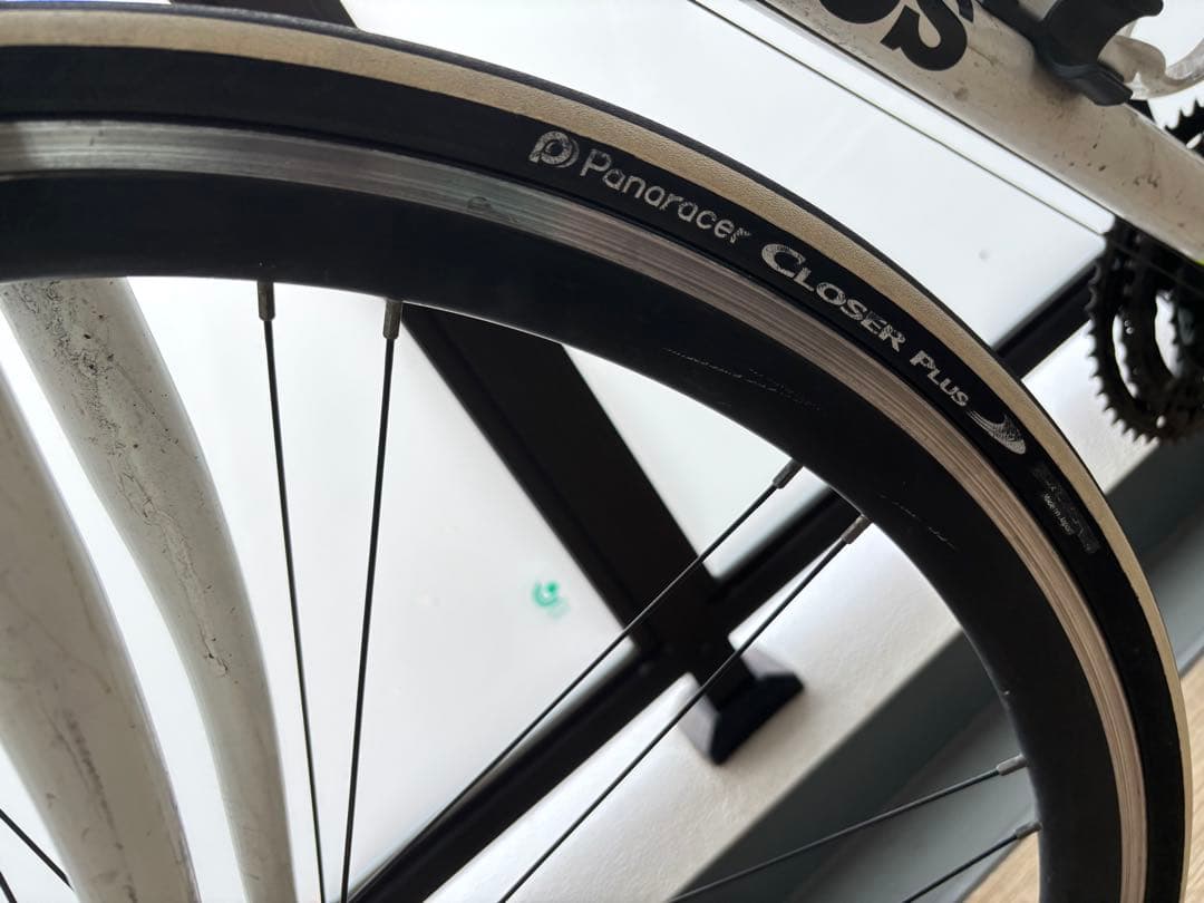 ミニウサギgios mistral