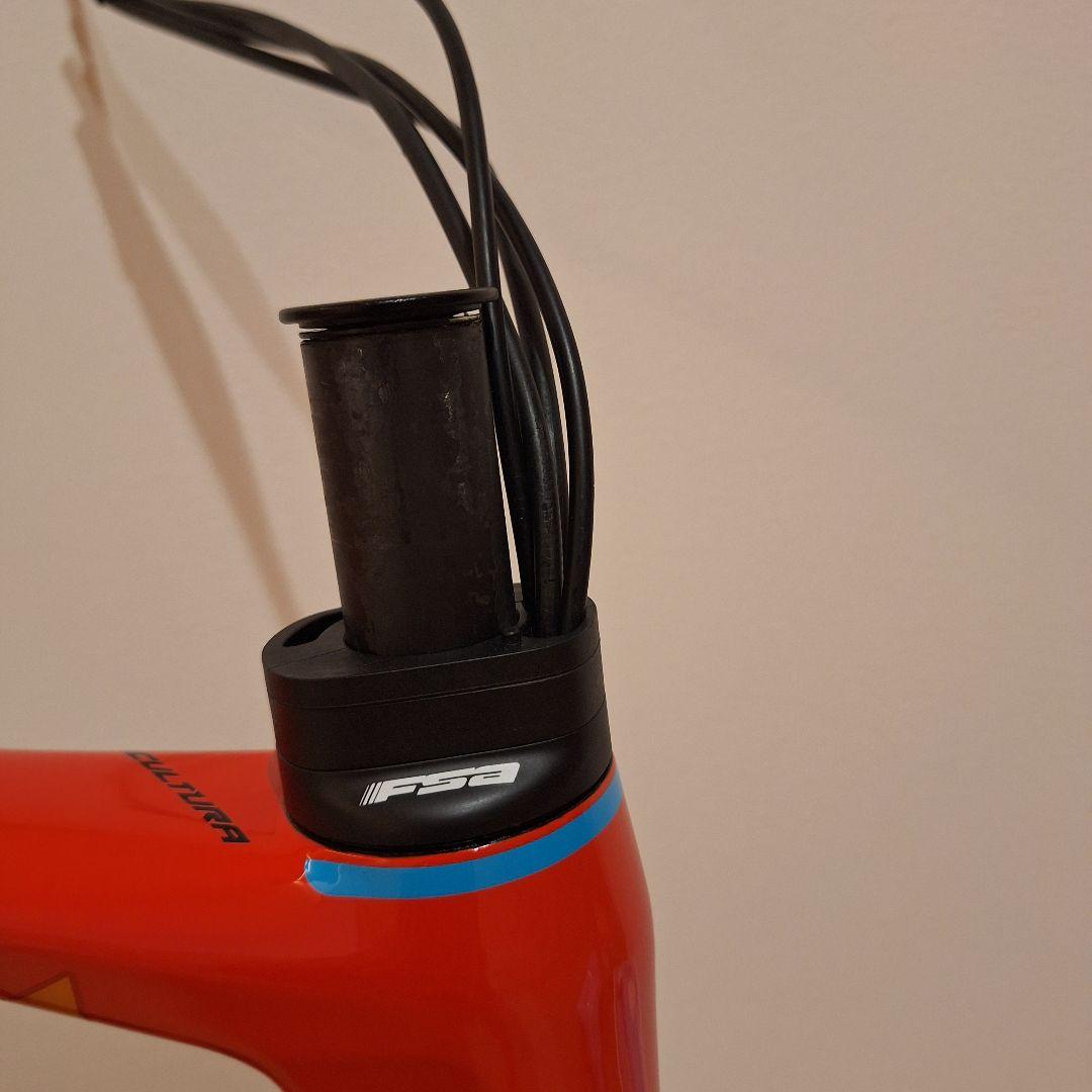 キノコ　メリダ スクルトゥーラ　 バーレーンヴィクトリアス