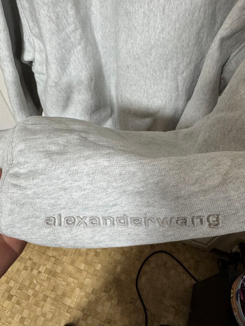 Alexander Wang ロゴスウェットシャツ トレーナー 登坂広臣 ØMI