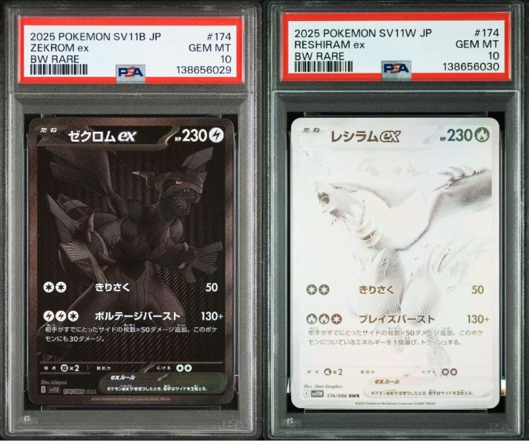 ポケモンカード【PSA10】【連番】ゼクロムex レシラムex BWR