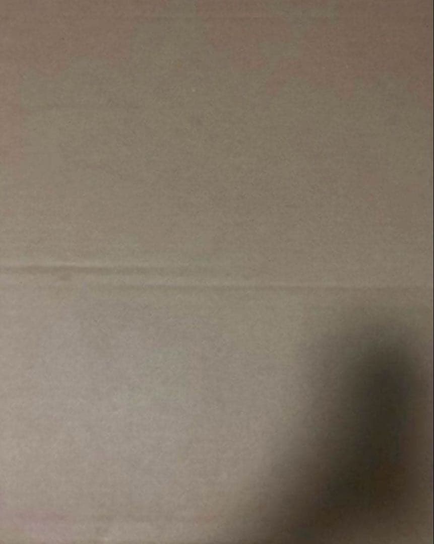 エヴァ RADIO EVAキャンバスアート 米山舞氏　アスカ