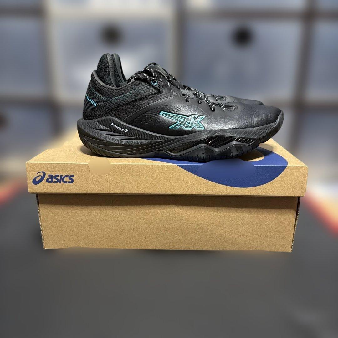 シューズ(男性用) asics NOVA SURGE LOW