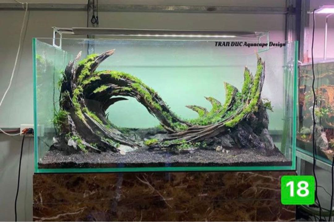 TTD 【⭐︎ ひばな様⭐︎】【美品・数量限定】