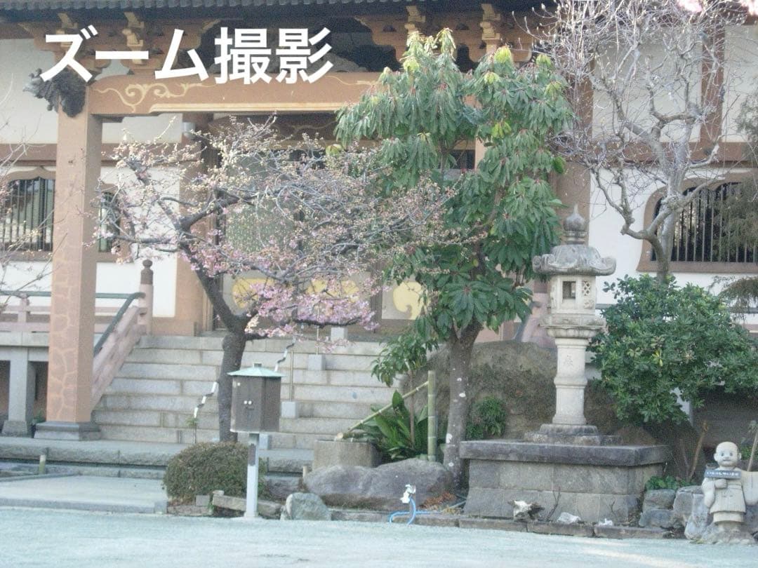 実写美⭕️美品【動作確認済】Nikon COOLPIX 5200 ブルー