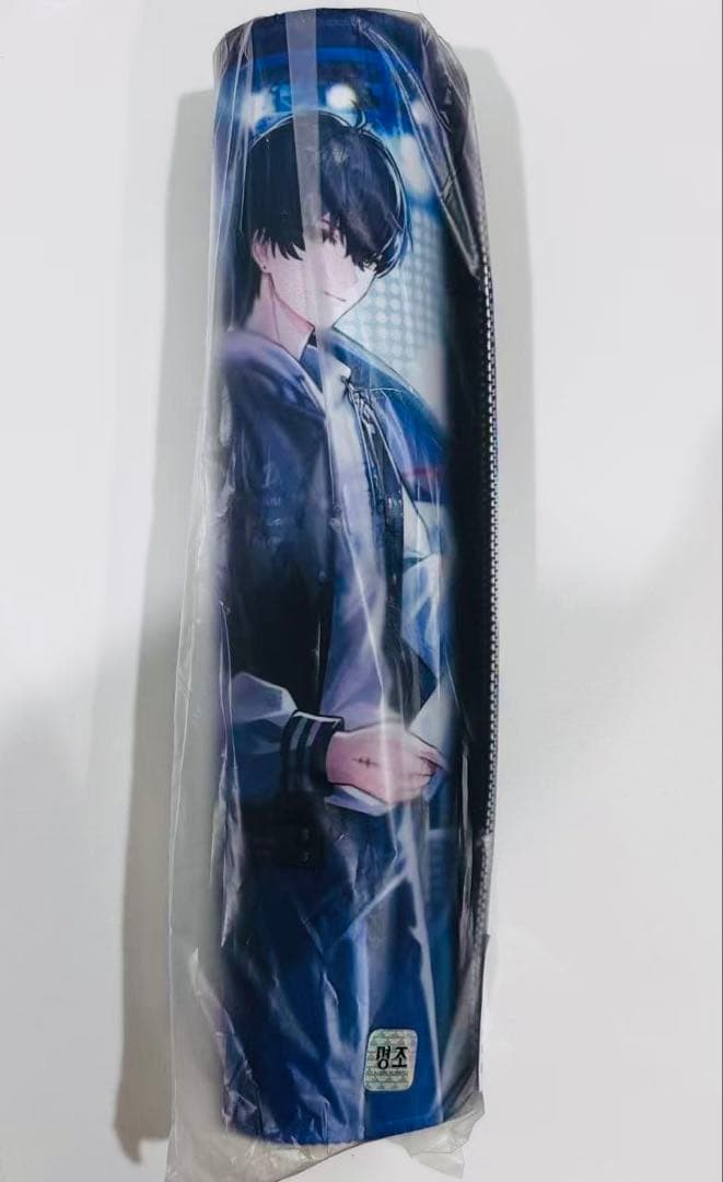 韓国限定 鳴潮 キャンパス 長パッド