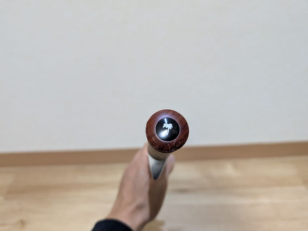 パームス　エゲリア　ETVC-42XUL