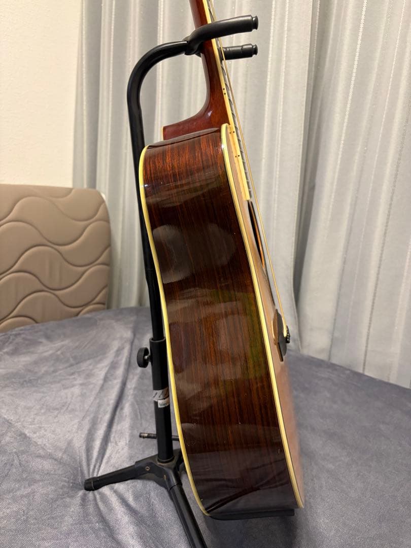 Morris W-50 アコースティックギター SPECIALジャパンヴィン