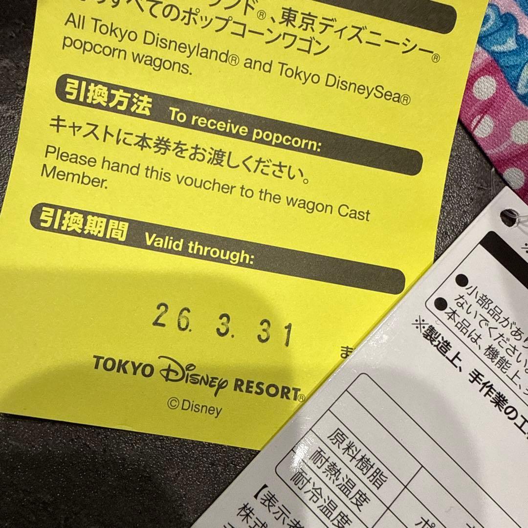 ミニーファンダーランド ミニパル ポップコーンバケット 引換券付き