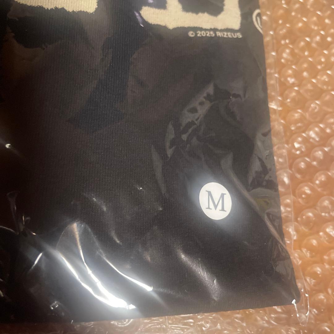 RIZE 家紋 LogoTee Tシャツ　Mサイズ
