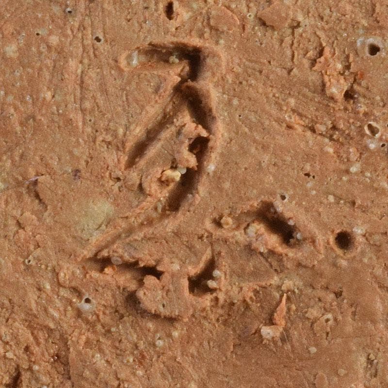 茶道具　面朱利休形茶箱　菊桐文茶碗　巾筒など　八点　一式　仕覆付　M　R9048