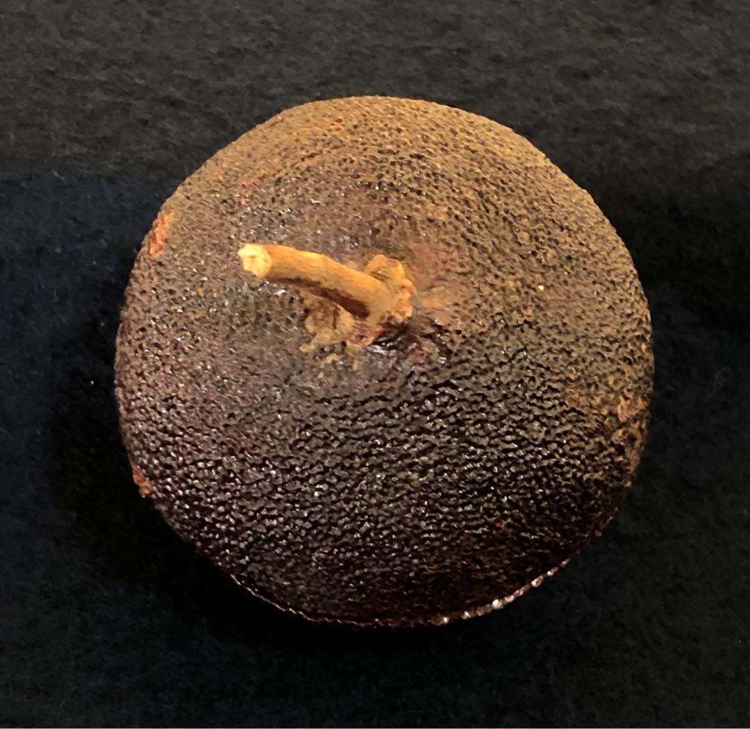 《R》茶道具 橙香合 池之浦大起作 共箱　260209け1