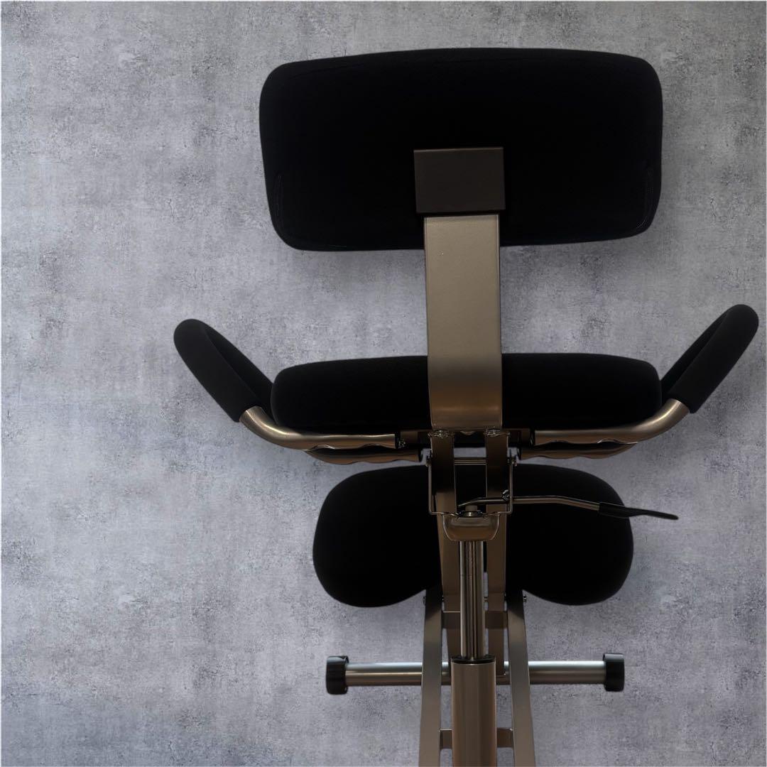 スウィングシート機能付 ニーリングチェア(ブラック) バランスチェア 高密度