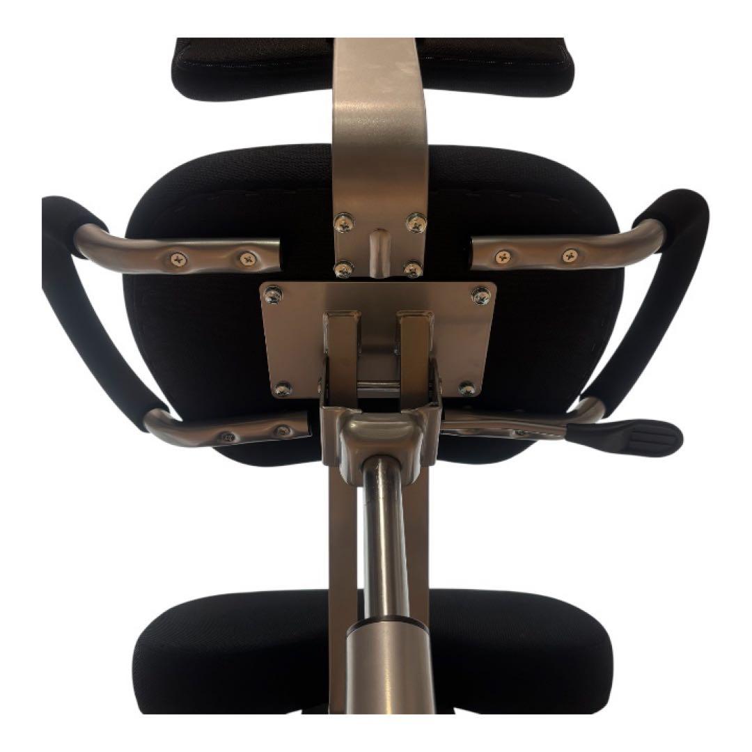 スウィングシート機能付 ニーリングチェア(ブラック) バランスチェア 高密度