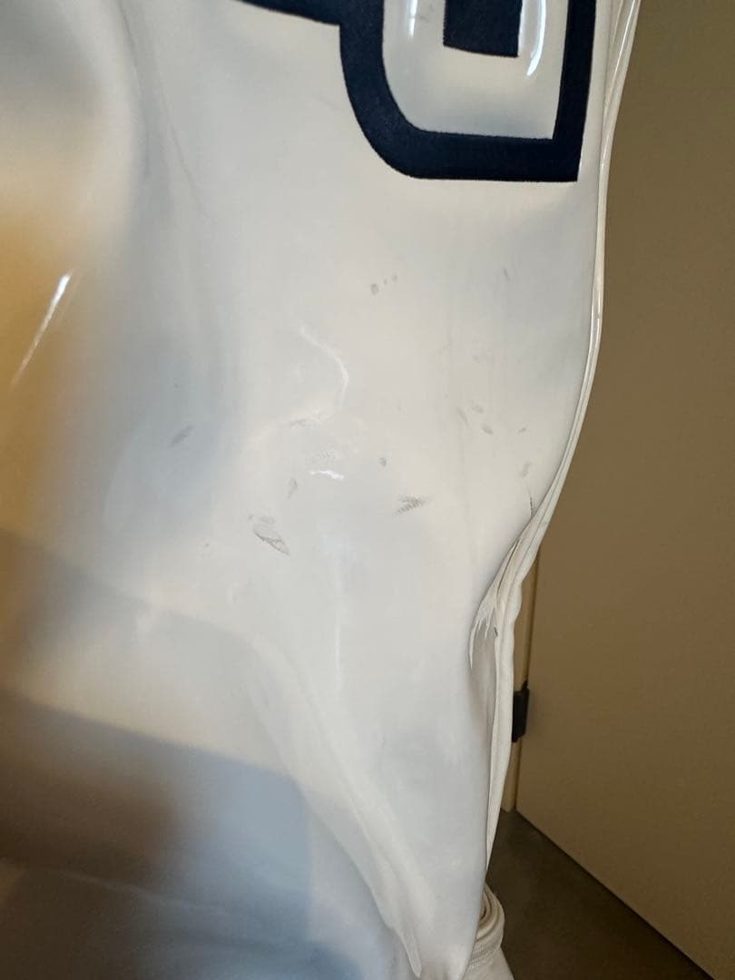 PEARLY GATES キャディバッグ 30TH記念