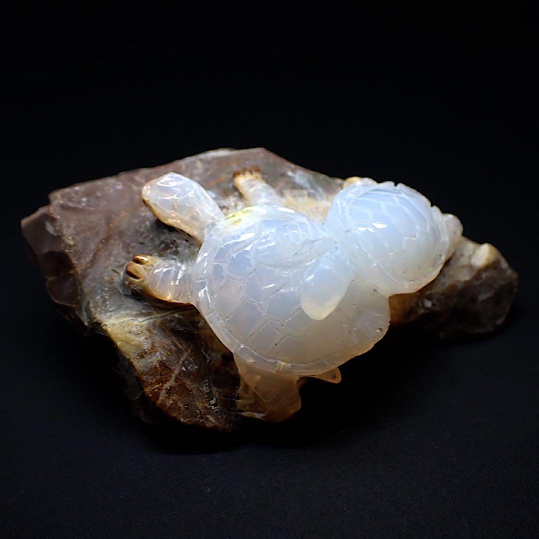 【オーストラリア産】オパールカービング(親子亀モチーフ)