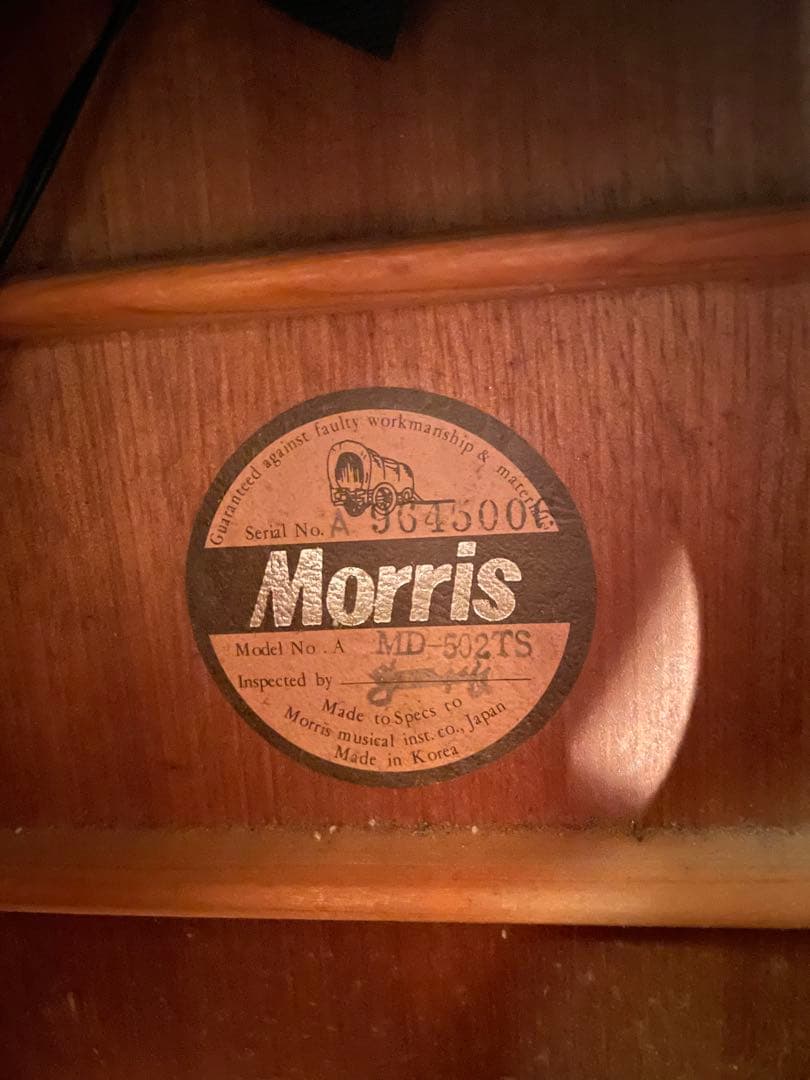 Morris MD-502/L.R.Baggsピックアップ付き