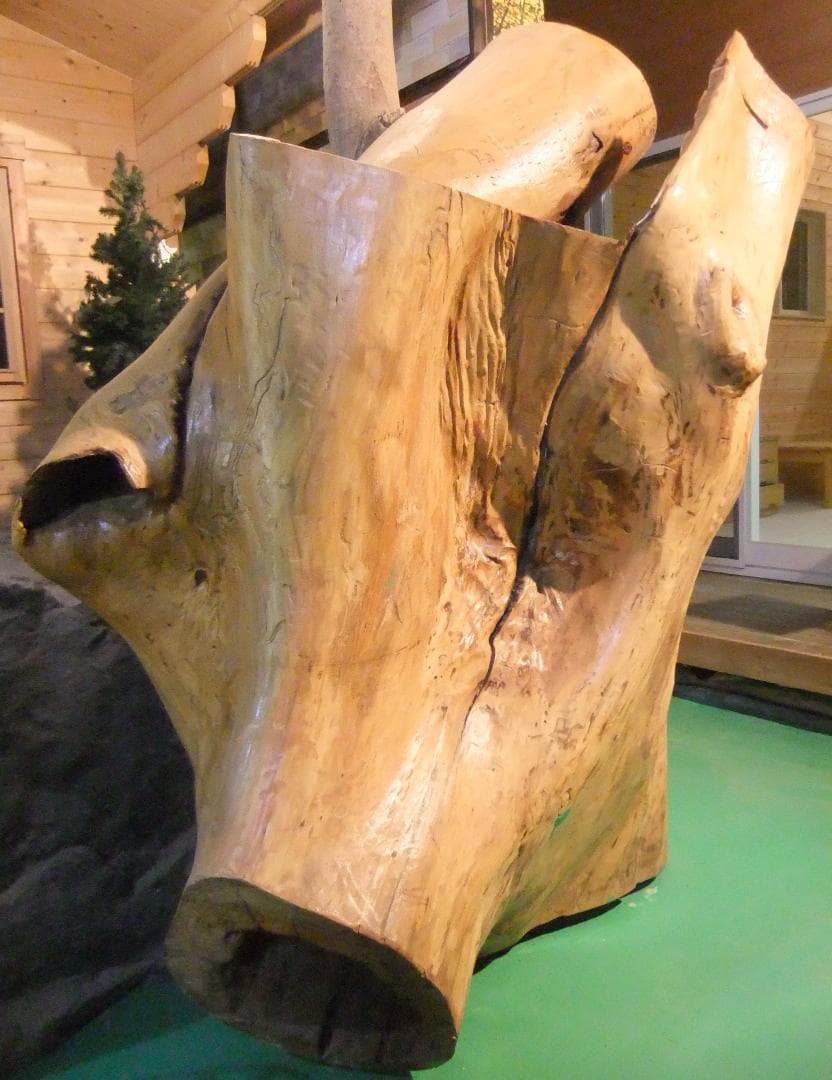 【稀少レア１点物】巨木★巨大樹木★自然派ナチュラル系、生け花【展示品★送料別】